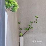 南京开来的咖啡店