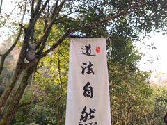 -青城山