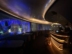 -Hi City·城市之巅