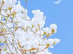 -东方之珠洗浴休闲广场(和平店)