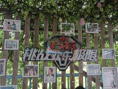 -郑州方特欢乐世界