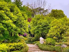 -杭州半山国家森林公园