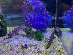 -酷嗒动物文化乐园(cutezoo西溪乐天城店)