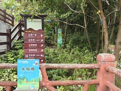 -广州白江湖森林公园