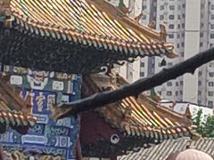 -药王庙(安国市)
