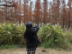 -白鹭湾湿地公园