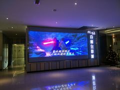 -百丽宫影城(CGS激光苏宁广场店)
