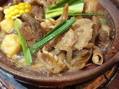 -沙胆彪炭炉牛杂煲(成都玉林店)