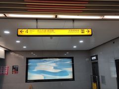 -大龙山(地铁站)