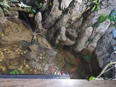 -老城铜锅涮肉(丽浩福仕汇店)