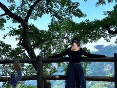 -少华山国家森林公园