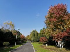 -昆山城市生态森林公园