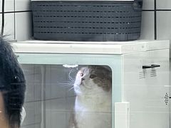-唐小姐の猫狗洗护·购宠旗舰店(周浦万达店)