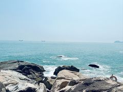 -广东惠东海龟国家级自然保护区