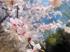 -云峰山自然风景区