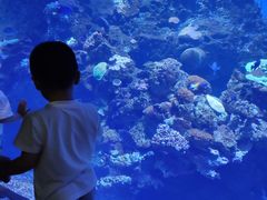 -华夏文旅海洋公园