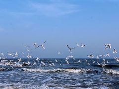 -老虎石海上公园