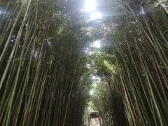 -采石矶景区