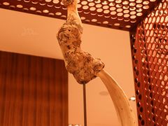 -二酉书店TOYOU BOOKS