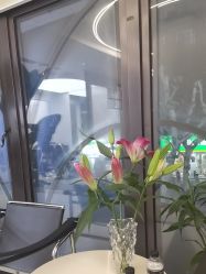 -魔型社烫染店