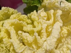 -海底捞火锅(龙岗星河COCO Park店)