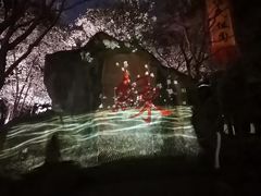-杭州黄龙洞