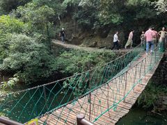 -大奇山国家森林公园