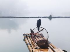 -靖西鹅泉风景区