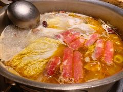 -守柴炉烤鸭(科华中路王府井店)