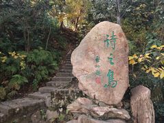 -江心屿景区