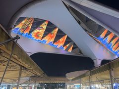 -蛙小侠(珠海华发商都店)