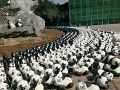 -牛鱼嘴原始生态风景区