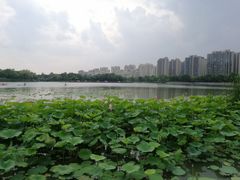 -南翔镇银翔湖公园