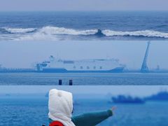 -烟台海昌鲸鲨海洋公园