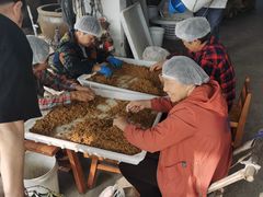 -苏州市吴中区光福窑上花果蜜饯厂