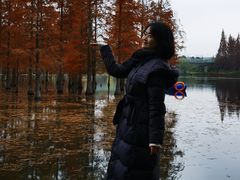 -白鹭湾湿地公园