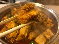 鱼籽豆腐-龙小海荆沙鸽子店(瑞安街店)