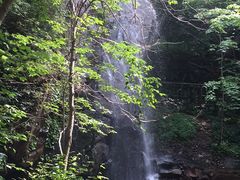 -本溪汤沟绿石谷森林公园