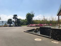 -昆明柏联SPA温泉