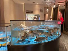 -阿庄新豫菜(航海东路店)
