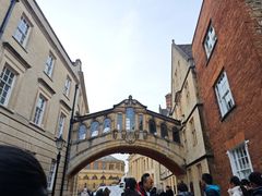-牛津大学