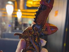 -雍容荟帝王蟹活龙虾展台自助(IFS黑金店)