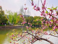 -上海交通大学(闵行校区)