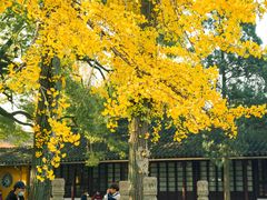 -西园戒幢律寺