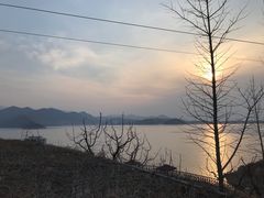 -望湖烤鱼