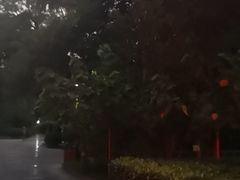 -柳侯公园