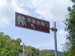 -野象谷景区