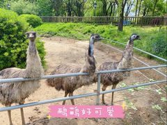 -无锡动物园·太湖欢乐园
