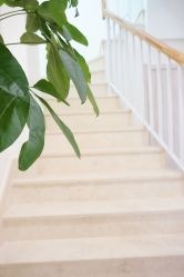 -悦芳庭美肤美体品牌集合店