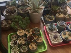 -和平卓尔口腔·矫正种植中心